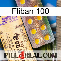 Fliban 100 new06